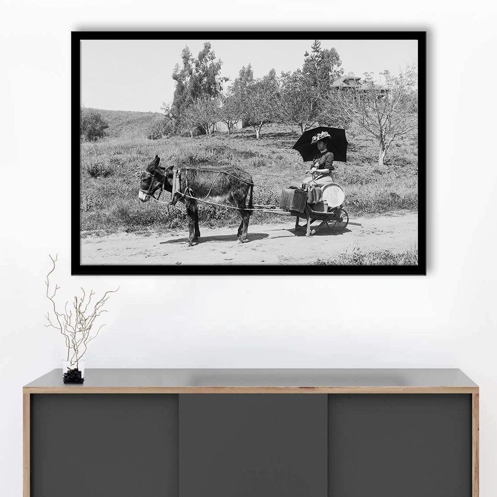 Woman in Donkey Cart Victorian Woman Photo Black and White Art, Framed Art Print Wall Decor