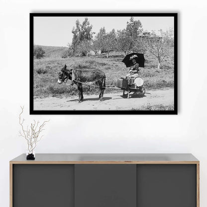 Woman in Donkey Cart Victorian Woman Photo Black and White Art, Framed Art Print Wall Decor