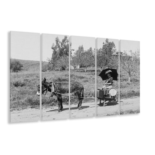 Woman in Donkey Cart Victorian Woman Photo Black and White Art, 5 Pieces Large Canvas Print