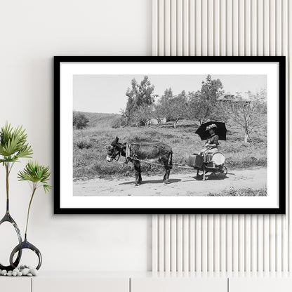 Woman in Donkey Cart Victorian Woman Photo Black and White Art, Framed Art Print White Border Wall Decor