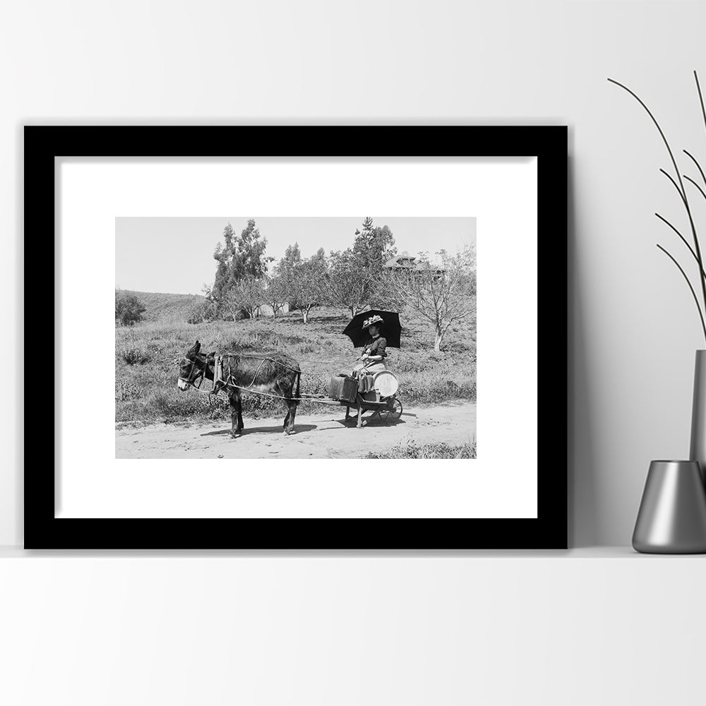 Woman in Donkey Cart Victorian Woman Photo Black and White Art, Framed Art Print White Border Wall Decor