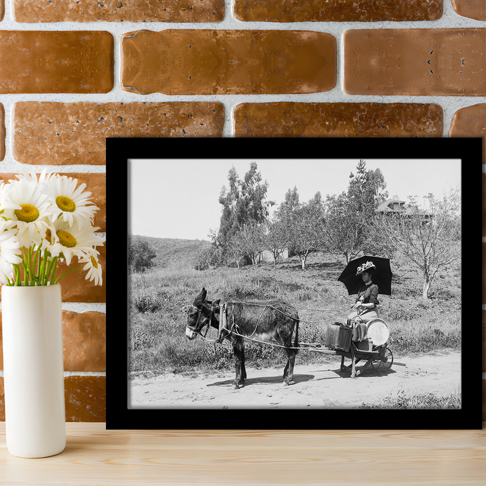 Woman in Donkey Cart Victorian Woman Photo Black and White Art, Framed Art Print Wall Decor