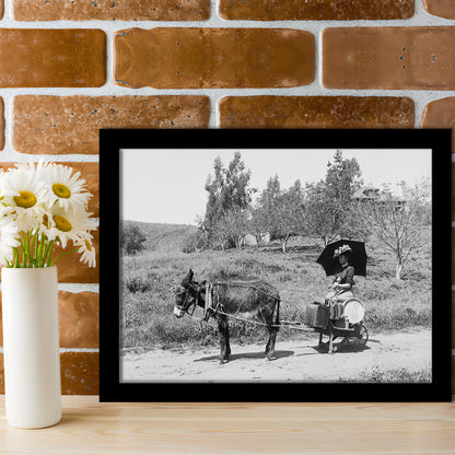 Woman in Donkey Cart Victorian Woman Photo Black and White Art, Framed Art Print Wall Decor