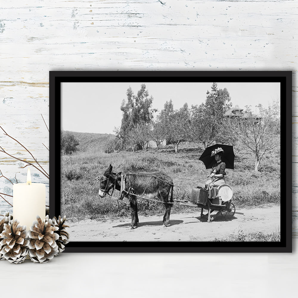 Woman in Donkey Cart Victorian Woman Photo Black and White Art, Floating Framed Canvas Print