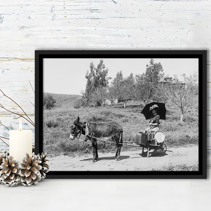 Woman in Donkey Cart Victorian Woman Photo Black and White Art, Floating Framed Canvas Print