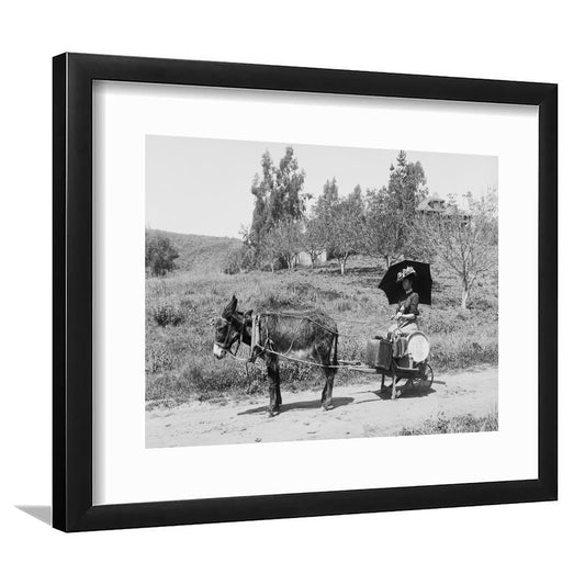 Woman in Donkey Cart Victorian Woman Photo Black and White Art, Framed Art Print White Border Wall Decor