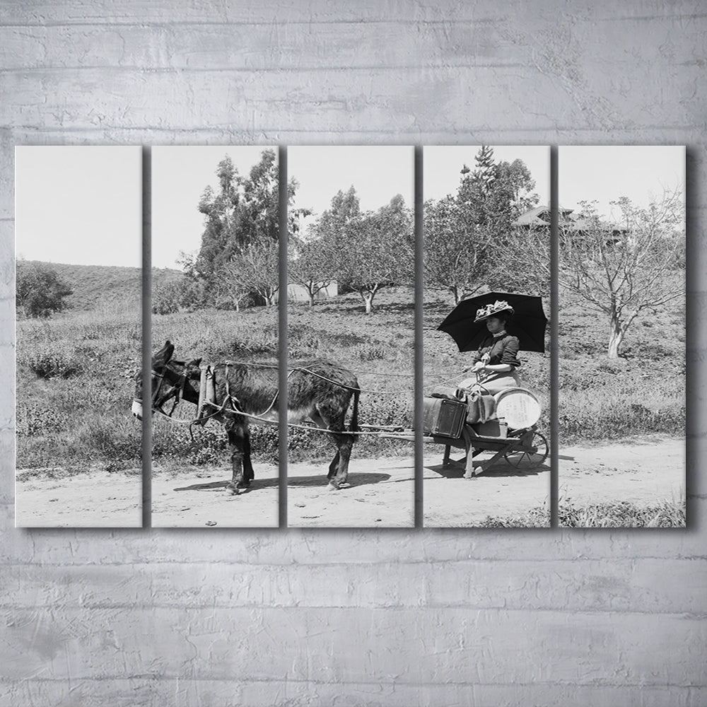 Woman in Donkey Cart Victorian Woman Photo Black and White Art, 5 Pieces Large Canvas Print