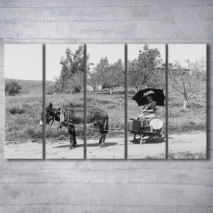 Woman in Donkey Cart Victorian Woman Photo Black and White Art, 5 Pieces Large Canvas Print