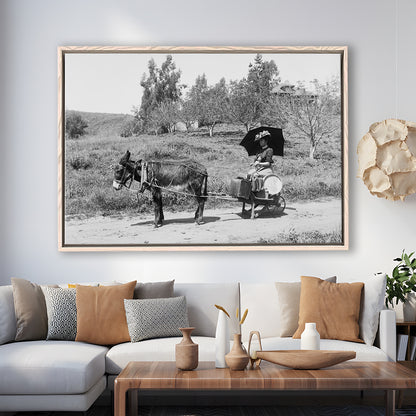 Woman in Donkey Cart Victorian Woman Photo Black and White Art, Floating Framed Canvas Print