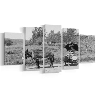 Woman in Donkey Cart Victorian Woman Photo Black and White Art, Mixed 5 Pieces Canvas Print
