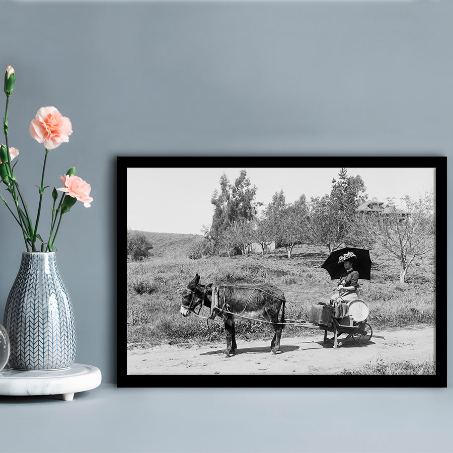 Woman in Donkey Cart Victorian Woman Photo Black and White Art, Framed Art Print Wall Decor