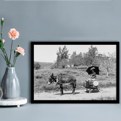 Woman in Donkey Cart Victorian Woman Photo Black and White Art, Framed Art Print Wall Decor