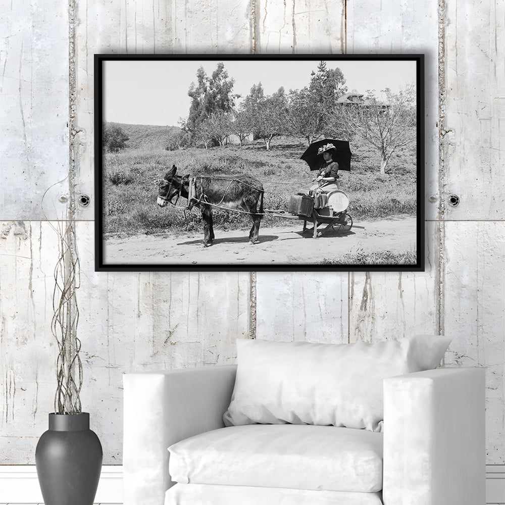 Woman in Donkey Cart Victorian Woman Photo Black and White Art, Floating Framed Canvas Print