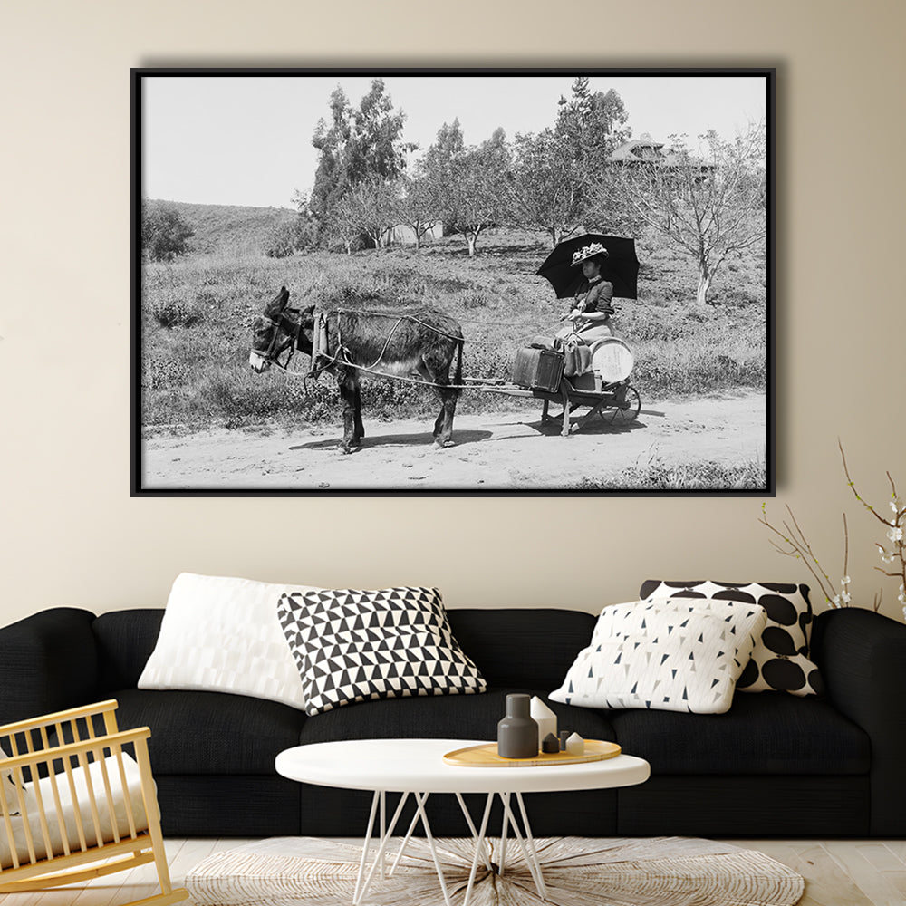 Woman in Donkey Cart Victorian Woman Photo Black and White Art, Floating Framed Canvas Print