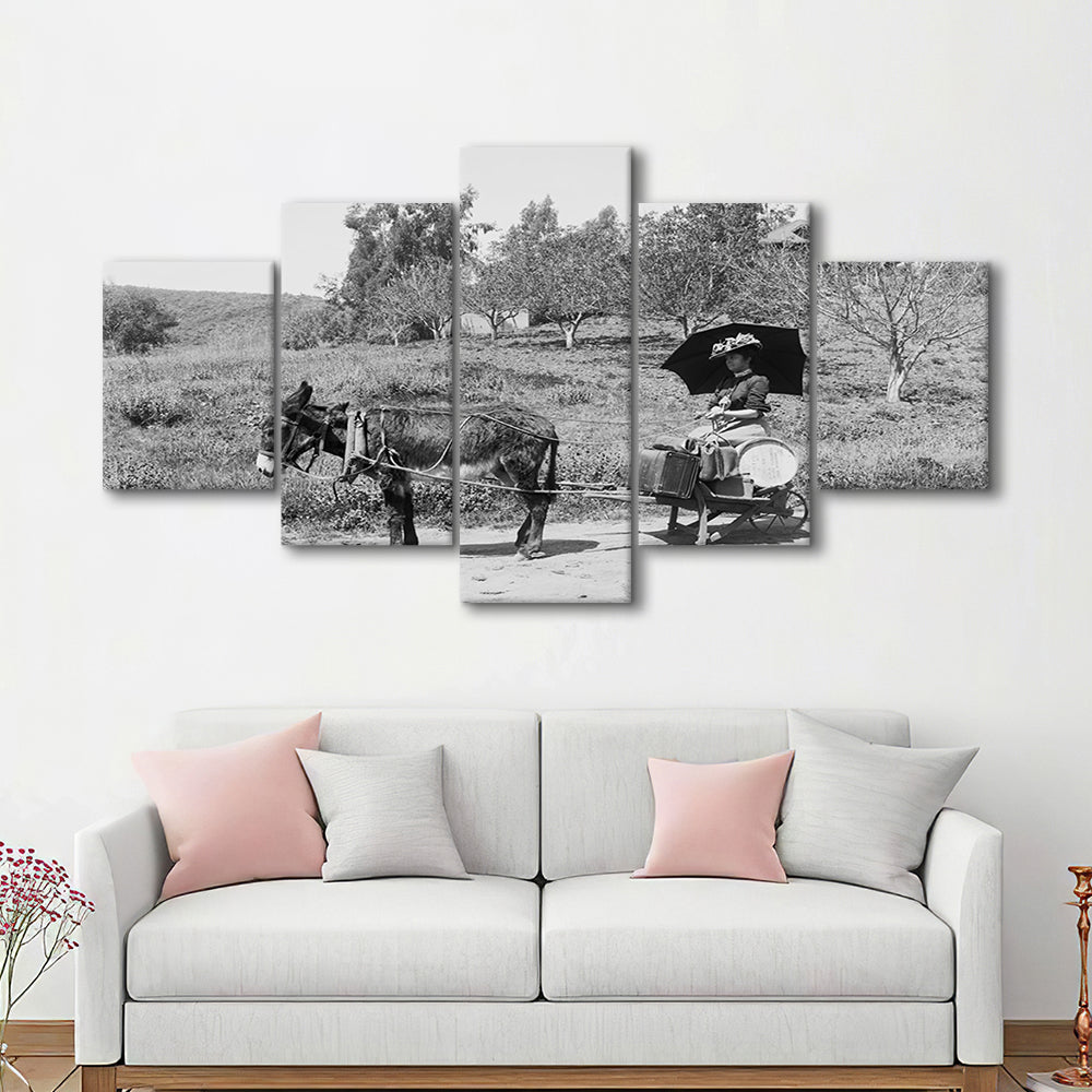 Woman in Donkey Cart Victorian Woman Photo Black and White Art, Mixed 5 Pieces Canvas Print