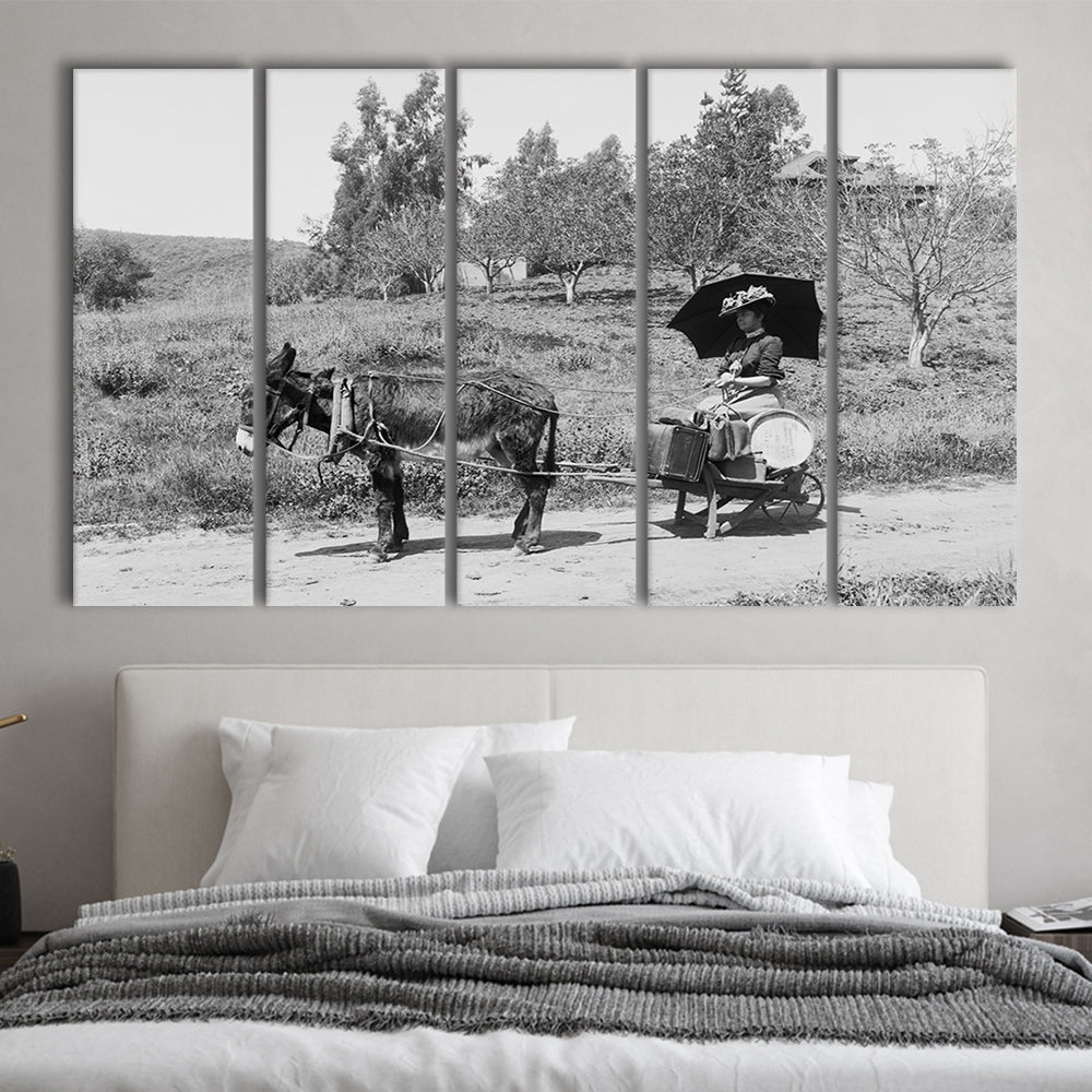Woman in Donkey Cart Victorian Woman Photo Black and White Art, 5 Pieces Large Canvas Print