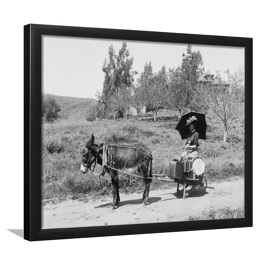 Woman in Donkey Cart Victorian Woman Photo Black and White Art, Framed Art Print Wall Decor