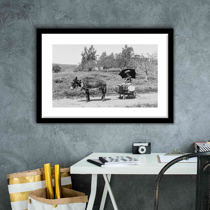 Woman in Donkey Cart Victorian Woman Photo Black and White Art, Framed Art Print White Border Wall Decor