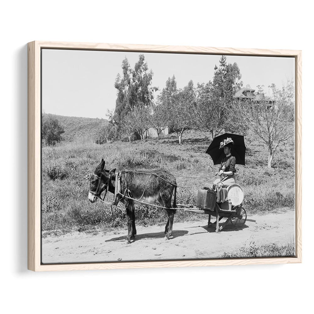 Woman in Donkey Cart Victorian Woman Photo Black and White Art, Floating Framed Canvas Print