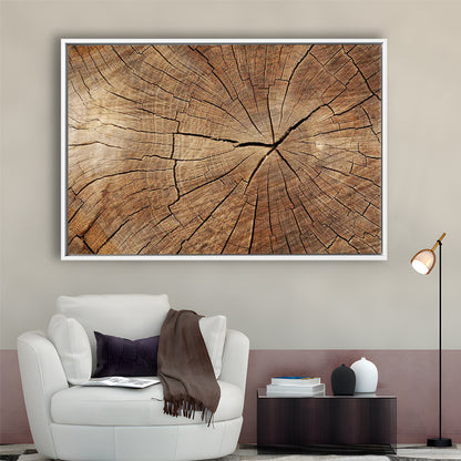 Wood Texture Wall Decor,Wood Crack Abstract Canvas Print, Luxury Abstract Art, Framed Cavas Print, Floating Frame