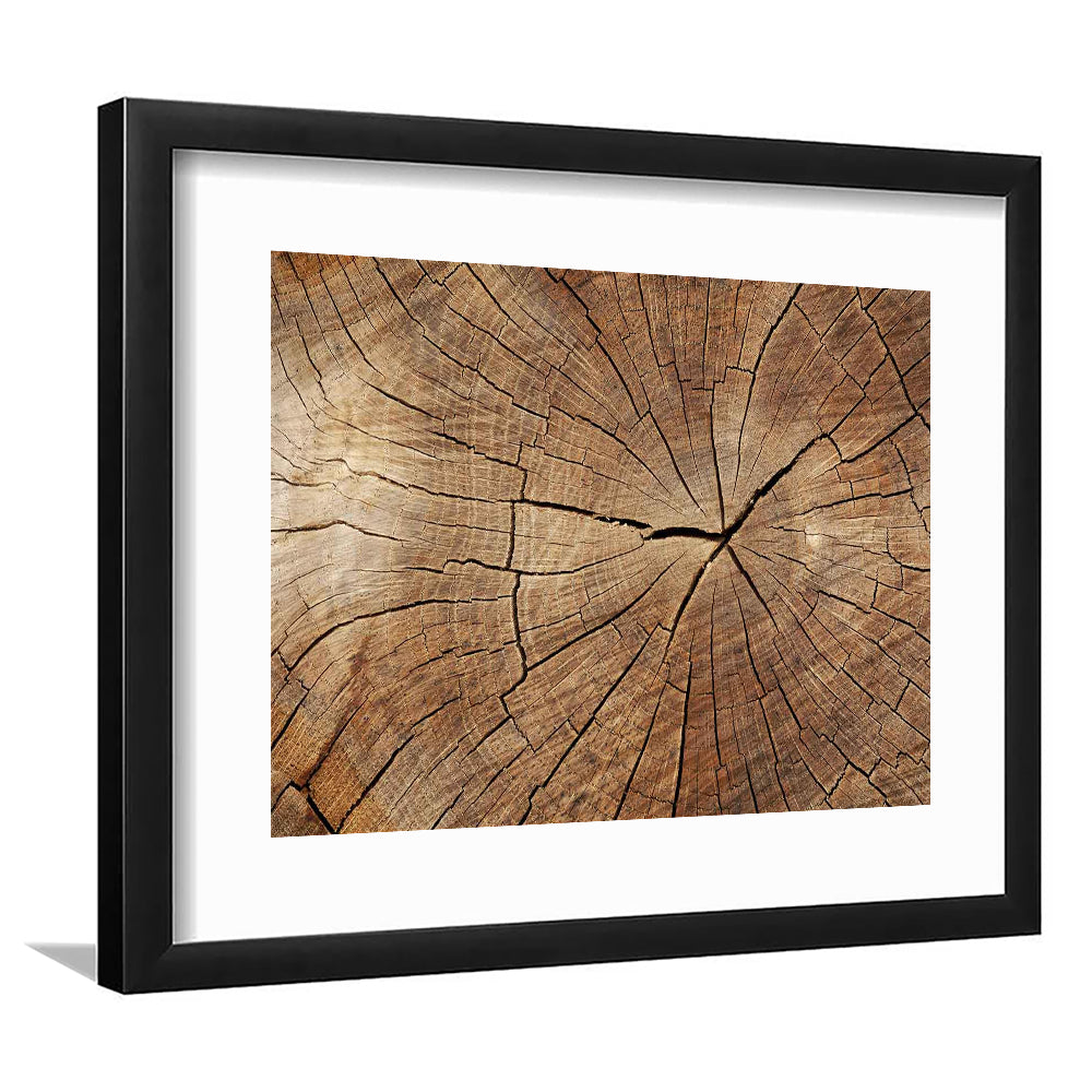 Wood Texture Wall Decor,Wood Crack Abstract Art Print, Luxury Extra Large Abstract Art, Framed Art Print White Border