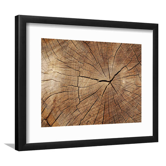 Wood Texture Wall Decor,Wood Crack Abstract Art Print, Luxury Extra Large Abstract Art, Framed Art Print White Border