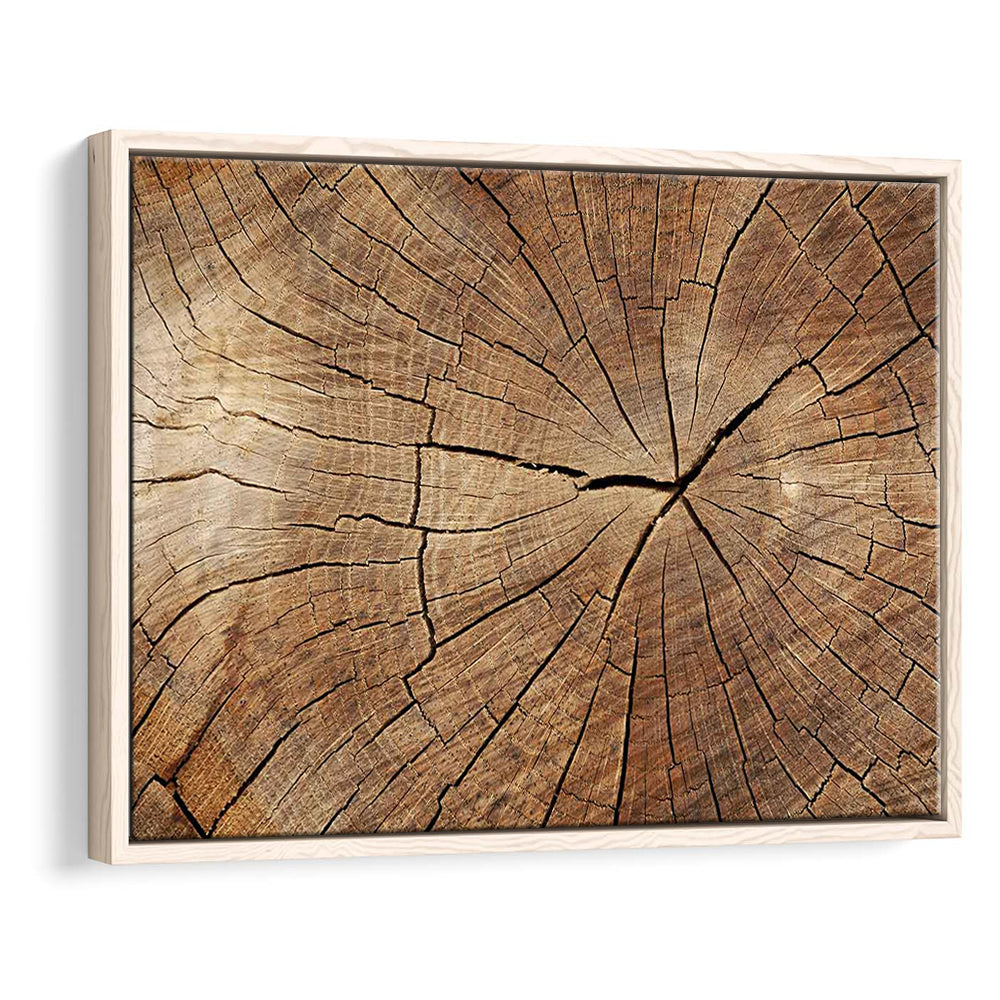 Wood Texture Wall Decor,Wood Crack Abstract Canvas Print, Luxury Abstract Art, Framed Cavas Print, Floating Frame