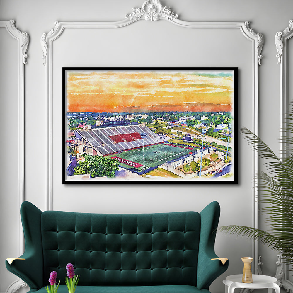 Youngstown State Penguins, Stambaugh Painting Stadium Watercolor, Sport Gift Art, Framed Art Print Wall Decor