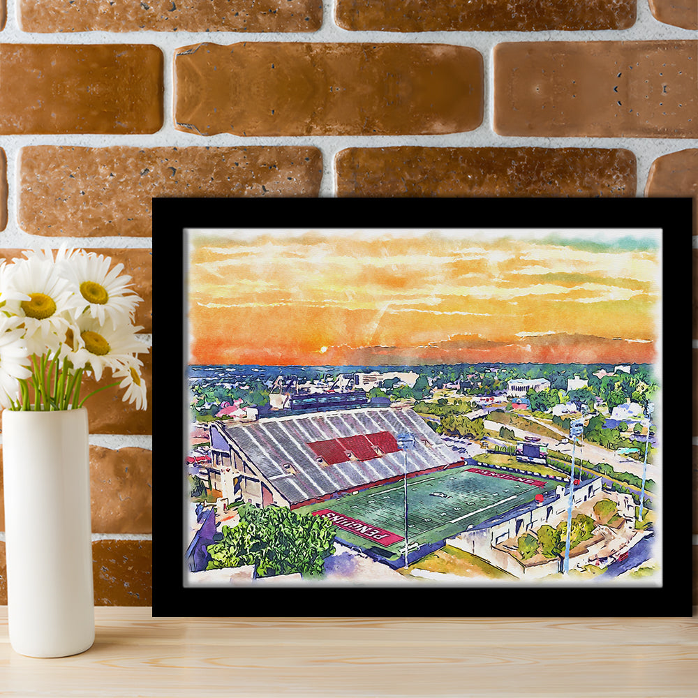 Youngstown State Penguins, Stambaugh Painting Stadium Watercolor, Sport Gift Art, Framed Art Print Wall Decor