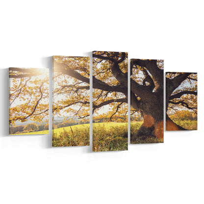 old oak tree at autumn Landscape, 5 Piece Large Cavas Print Wall Art