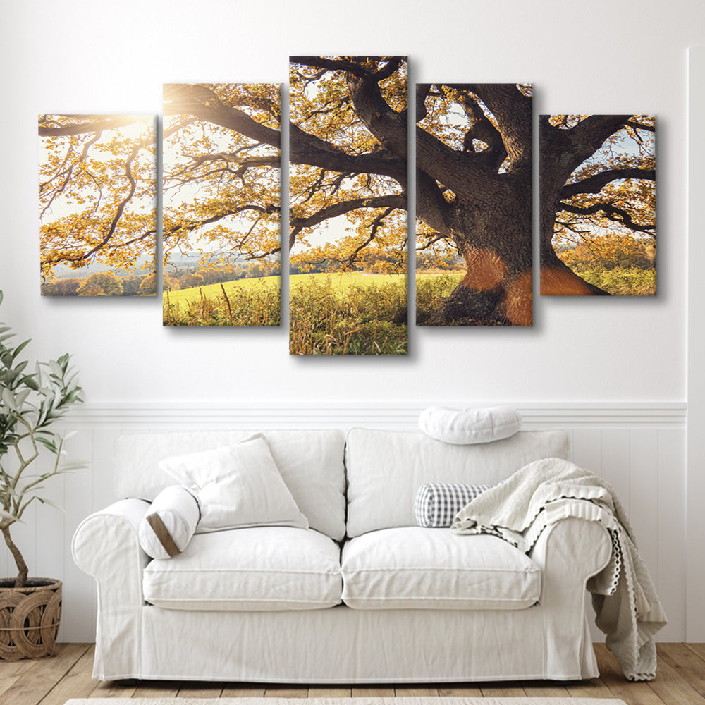 old oak tree at autumn Landscape, 5 Piece Large Cavas Print Wall Art