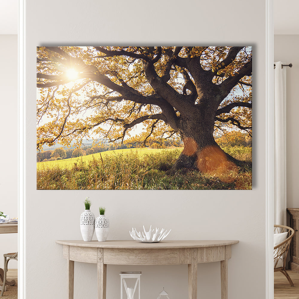 old oak tree at autumn Landscape, Cavas Print Wall Art Hom Decor