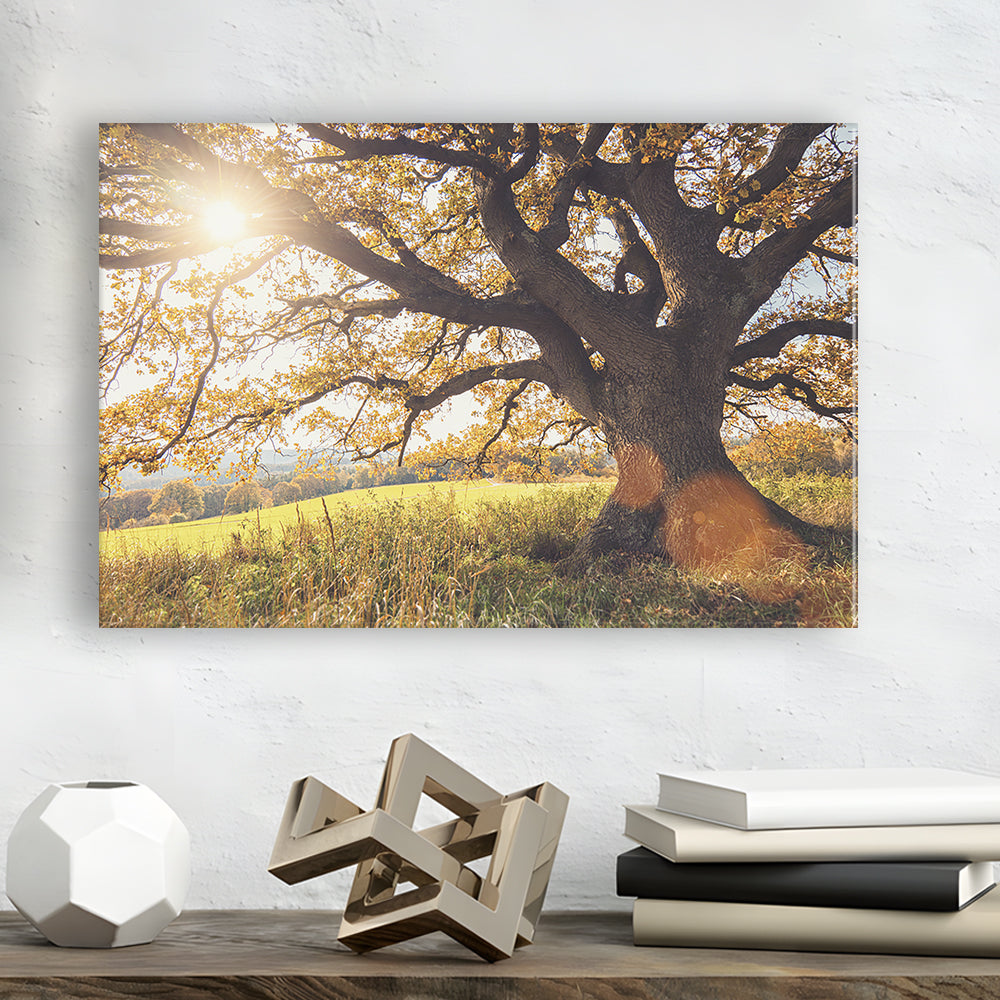 old oak tree at autumn Landscape, Cavas Print Wall Art Hom Decor