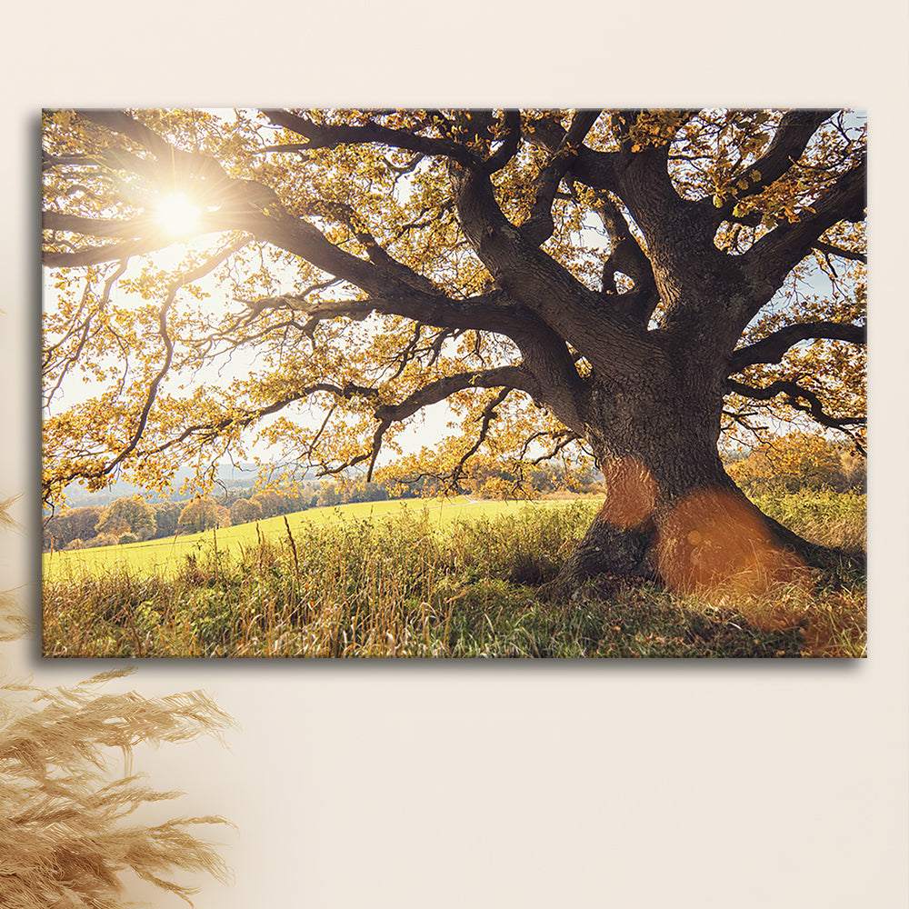 old oak tree at autumn Landscape, Cavas Print Wall Art Hom Decor