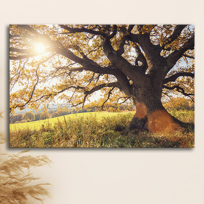 old oak tree at autumn Landscape, Cavas Print Wall Art Hom Decor