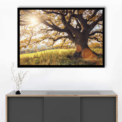 Old Oak Tree At Autumn Landscape, Framed Art Print, Picture Framed
