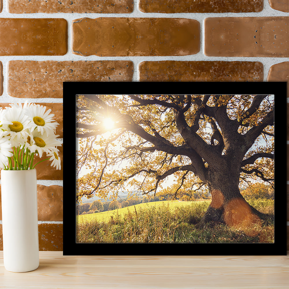 Old Oak Tree At Autumn Landscape, Framed Art Print, Picture Framed
