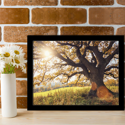 Old Oak Tree At Autumn Landscape, Framed Art Print, Picture Framed