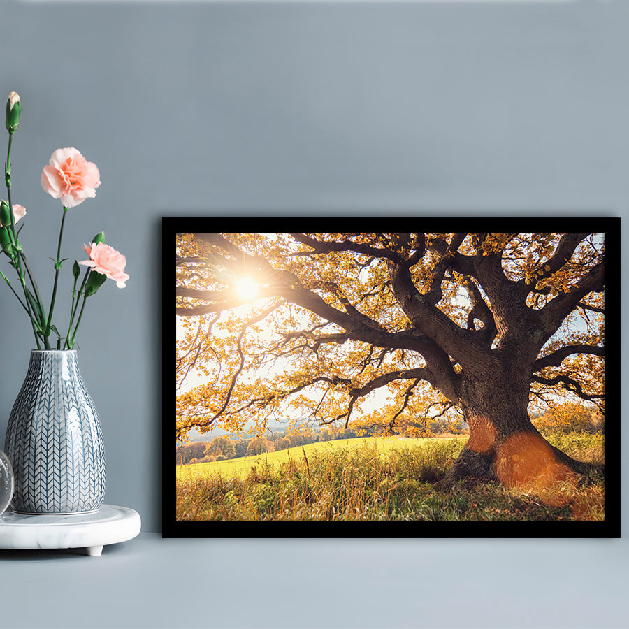 Old Oak Tree At Autumn Landscape, Framed Art Print, Picture Framed