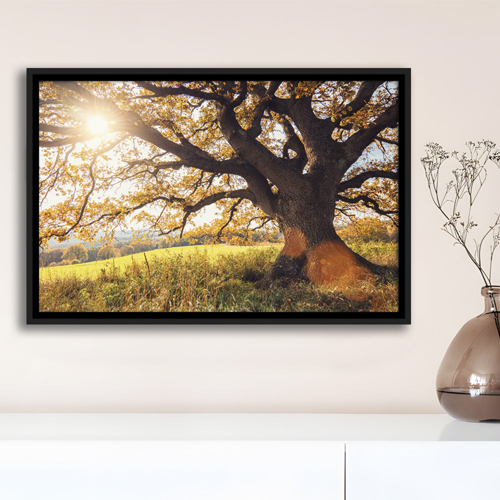 Old Oak Tree At Autumn Landscape, Framed Cavas Print, Floating Frame