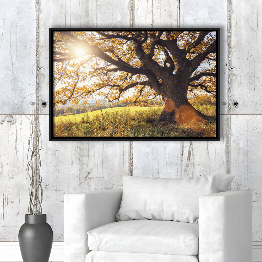 Old Oak Tree At Autumn Landscape, Framed Cavas Print, Floating Frame