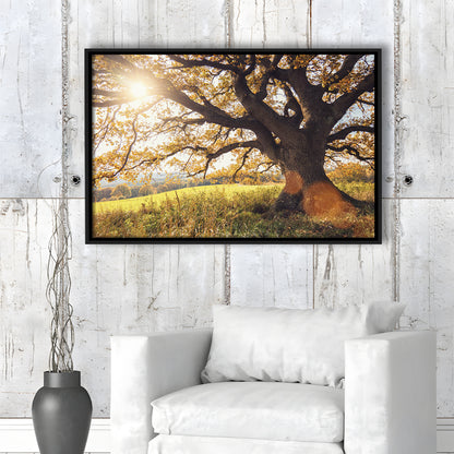 Old Oak Tree At Autumn Landscape, Framed Cavas Print, Floating Frame
