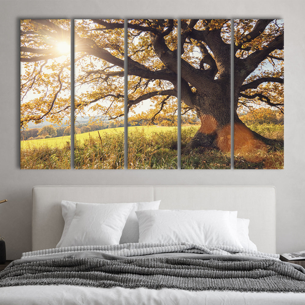 old oak tree at autumn Landscape, 5 Piece B Extra Large Cavas Print Wall Art Decor