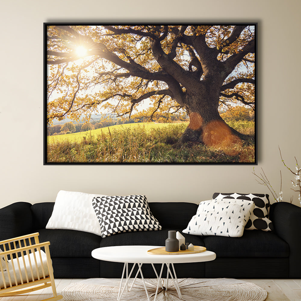 Old Oak Tree At Autumn Landscape, Framed Cavas Print, Floating Frame