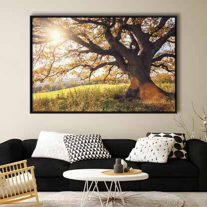 Old Oak Tree At Autumn Landscape, Framed Cavas Print, Floating Frame