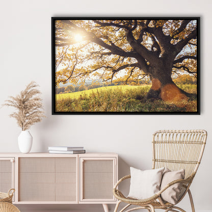 Old Oak Tree At Autumn Landscape, Framed Cavas Print, Floating Frame