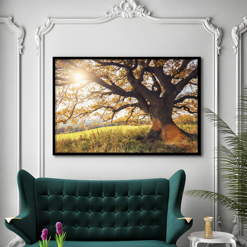 Old Oak Tree At Autumn Landscape, Framed Art Print, Picture Framed