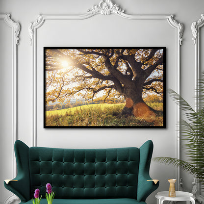 Old Oak Tree At Autumn Landscape, Framed Art Print, Picture Framed