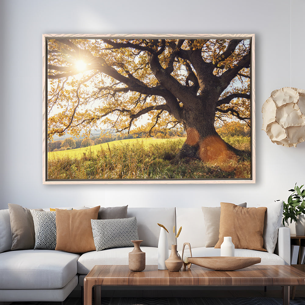 Old Oak Tree At Autumn Landscape, Framed Cavas Print, Floating Frame