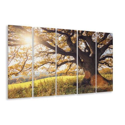 old oak tree at autumn Landscape, 5 Piece B Extra Large Cavas Print Wall Art Decor